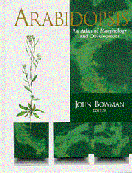 Arabidopsis: An Atlas of Morphology and Development
